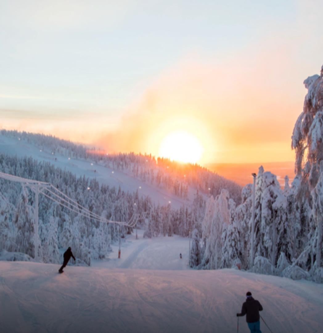 Arctic TreeHouse Hotel 4